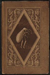 mesterbolha. Egy tündérmese két barát hét kalandjában (Mester Flea: A Fairy-Tale in Seven Adventures of Two Friends alkotó: Karl Friedrich Thiele, Ernst Theodor Amadeus Hoffmann