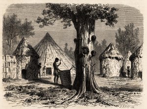 A háború fája egy Djour faluban, a Bahr-el-Gazal régióban, Szudánban, Karl Girardet (1813-1871) rajza A. Bolognesi gazelláinak 1856-1857-es utazásának szemléltetésére. Gravírozás a „Le tour du monde”-ban, szerkesztette Edouard Charton alkotó: Karl Girardet