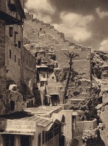 Mar Saba, Szent Sabas pálma (f/w fotó) alkotó: Karl Grober