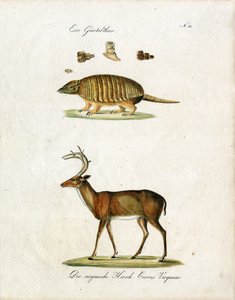  alkotó: Karl Joseph Brodtmann