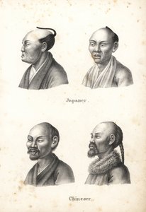 Japán férfiak mellszobra chonmage topknot frizurával, és kínai férfiak szakállal, az egyik copfos. Karl Joseph Brodtmann litográfiája Heinrich Rudolf Schinz Emberek és állatok illusztrált természettörténetéből