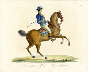  alkotó: Karl Joseph Brodtmann