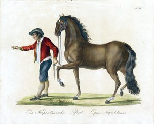  alkotó: Karl Joseph Brodtmann