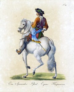  alkotó: Karl Joseph Brodtmann