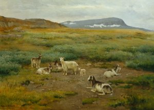 Kecske a fűben alkotó: Karl K. Uchermann