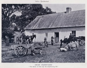 Irish Farmyard (f/w fotó)