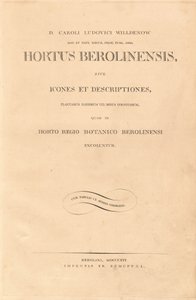 Berlin kertje alkotó: Karl Ludwig Willdenow