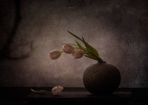  alkotó: Katarina Holmström