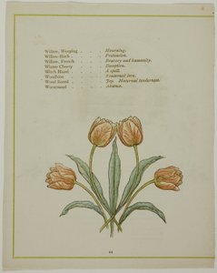 Dekoratív illusztráció, a Virágok megvilágított nyelvéből alkotó: Kate Greenaway