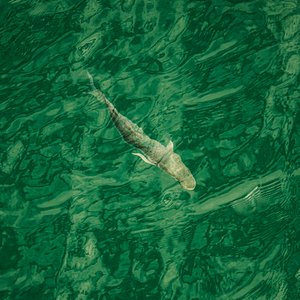 In Deep Water (jobbra), 2021 (fotó)
