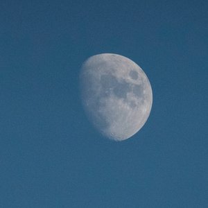 Look At The Moon, 2021 (fotó)