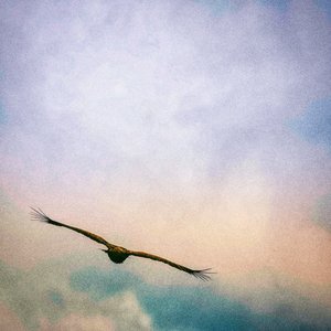 On The Wing, 2021