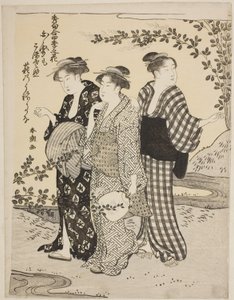 Bokorlóhere nyáron, a "Négy évszak legválogatottabb ódái virágairól (Shuku awase, shiki no hana)" sorozatból. alkotó: Katsukawa Shuncho