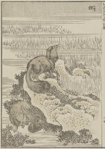 Borz, c. 1840 (fanyomat) alkotó: Katsushika Hokusai