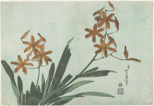 Szederliliomok, c. 1832 alkotó: Katsushika Hokusai