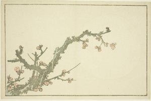 Virágzó szilvafa, Hokusai realista festményeinek képeskönyvéből (Hokusai shashin gafu), 1814 körül (színes fametszet (albumlap)) alkotó: Katsushika Hokusai