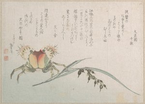 Rák- és rizsültetvény alkotó: Katsushika Hokusai