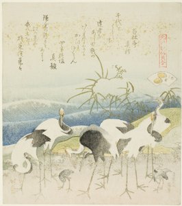 Cranes by the Shore, illusztráció a The Leg Shell (Ashigai) számára, a „Megfelelő játék Genroku-kori vershéjjal (Genroku kasen kai awase)” sorozatból. alkotó: Katsushika Hokusai