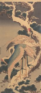 Daruk a hóval borított fenyő ágán, 1820-as évek vége. alkotó: Katsushika Hokusai