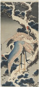 Daruk a fenyőn, c. 1834 alkotó: Katsushika Hokusai