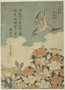 Ward c por ajánlat d levélkészlet (Hotogisu, Satsuki) alkotó: Katsushika Hokusai