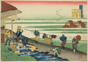 Major tsune nobu a sorozatból alkotó: Katsushika Hokusai
