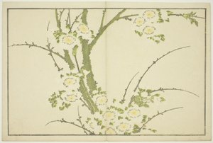 Virágok, Hokusai realista festményeinek képeskönyvéből (Hokusai shashin gafu), 1814 körül (színes fametszet (albumlap)) alkotó: Katsushika Hokusai