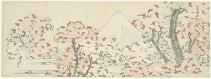 Fuji a cseresznyevirág fölött, 1800-1805 körül (fametszet) alkotó: Katsushika Hokusai