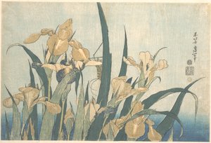 Sáska és írisz alkotó: Katsushika Hokusai