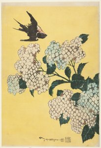 Hortenzia és fecske, nagy virágok cím nélküli sorozatából alkotó: Katsushika Hokusai