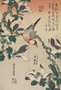 Java Sparrow and Magnolia, c. 1832 alkotó: Katsushika Hokusai