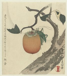 Kaki gyümölcs szöcskével alkotó: Katsushika Hokusai