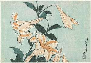 Liliomok alkotó: Katsushika Hokusai