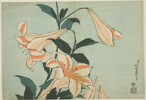 Liliomok, a nagy virágok cím nélküli sorozatából alkotó: Katsushika Hokusai