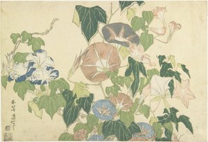 Morning Glories és Tree Frog, a Large Flowers néven ismert, cím nélküli sorozatból, 1833-34 körül (színes fatömbnyomat) alkotó: Katsushika Hokusai