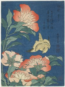 Pünkösdi rózsa és kanári, c. 1833 alkotó: Katsushika Hokusai