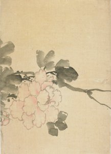 Bazsarózsa, 18. század vége-19. század eleje. alkotó: Katsushika Hokusai