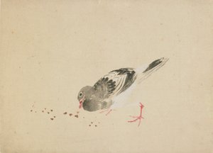 Galamb, 18. század vége-19. század eleje. alkotó: Katsushika Hokusai