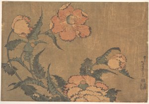 A szélben lengő pipacsok alkotó: Katsushika Hokusai