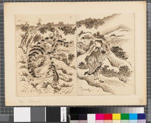 Jelenetek a japán-koreai háborúból, 18. század vége-19. század első fele (tus és tusfesték, papír) alkotó: Katsushika Hokusai