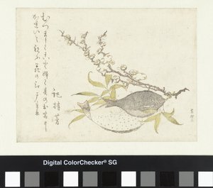 Két lepényhal és szilva alkotó: Katsushika Hokusai