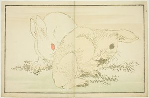 Két nyúl, Hokusai valósághű festményeinek képeskönyvéből (Hokusai shashin gafu) alkotó: Katsushika Hokusai