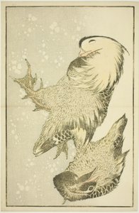 Két vízimadár, Hokusai valósághű festményeinek képeskönyvéből (Hokusai shashin gafu) alkotó: Katsushika Hokusai