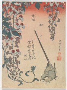 Patyolat és golgotavirág, Edo-korszak, 1834 (színes fametszet) alkotó: Katsushika Hokusai