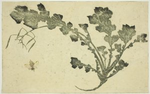 Darázs- és fehérrépaszár, a "Hokusai valósághű festmények képeskönyvéből (Hokusai shashin gafu)" alkotó: Katsushika Hokusai