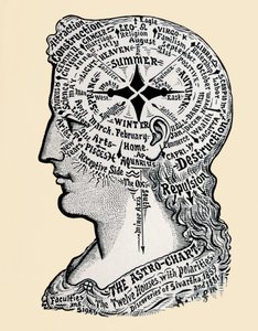 Az emberi fej és vállak diagramja. 19. század (metszet)