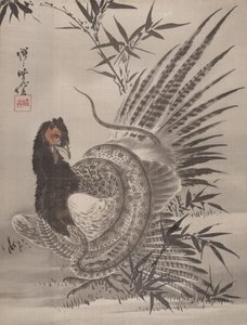 Kígyó által elkapott fácán, kb. 1887. alkotó: Kawanabe Kyosai
