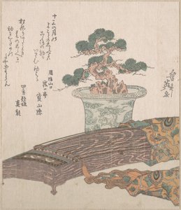 Cserepes fenyőfa és koto (japán hárfa) alkotó: Keisai Eisen
