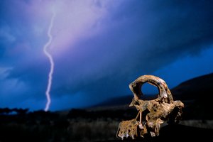 DOH; The First Steps,Broken Skull, STW 847, Lightning, High veld, Swartkrans, Dél-Afrika, 2008 (fotó) alkotó: Kenneth Garrett