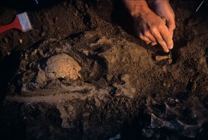 Dmanisi, Grúzia, David Lordkipanidze, Homo Erectus alkotó: Kenneth Garrett